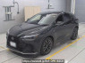 Used 2022 AT lexus nx AAZH20 Image[0]
