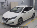 Nissan Leaf ZE1