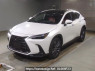 Used 2023 AT lexus nx AAZH20 Image[0]