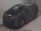 Toyota Alphard Hybrid AYH30W