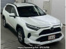 Used 2022 AT toyota rav4 AXAH52 Image[0]