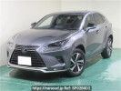 Lexus NX AYZ10