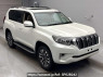 Used 2023 AT toyota land-cruiser-prado GDJ151W Image[2]