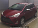 Toyota Vitz NHP130
