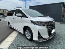 Toyota Alphard Hybrid AYH30W