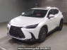 Used 2022 AT lexus nx AAZA20 Image[0]