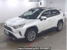 Used 2019 AT toyota rav4 MXAA54 Image[1]