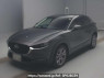 Used 2020 AT mazda cx-30 DMEP Image[0]