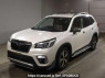 Used 2019 AT subaru forester SKE Image[0]