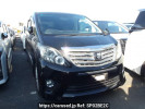 Toyota Alphard ANH20W