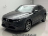 Used 2020 AT mazda mx-30 DREJ3P Image[0]