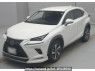 Used 2019 AT lexus nx AGZ10 Image[0]