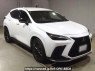 Used 2024 AT lexus nx AAZH20 Image[2]