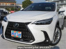 Used 2023 AT lexus nx AAZA20 Image[0]