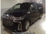 Used 2022 AT toyota alphard-hybrid AYH30W Image[0]