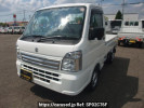 Suzuki Carry Truck DA16T