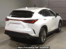 Used 2023 AT lexus nx AAZH20 Image[1]