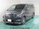 Toyota Alphard AGH30W
