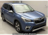 Used 2019 AT subaru forester SKE Image[0]