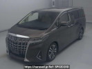 Toyota Alphard Hybrid AYH30W