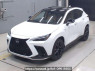 Used 2025 AT lexus nx AAZH20 Image[0]