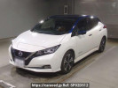 Nissan Leaf ZE1