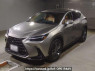 Used 2023 AT lexus nx AAZH25 Image[0]