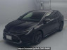 Used 2020 AT toyota corolla-touring-wagon ZWE211W Image[0]