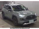 Toyota RAV4 MXAA54