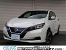 Nissan Leaf ZE1
