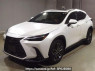 Used 2023 AT lexus nx AAZH25 Image[0]