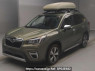 Used 2019 AT subaru forester SKE Image[0]