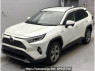 Used 2019 AT toyota rav4 AXAH54 Image[0]