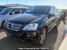 Used 2009 AT mercedes-benz m-class 164186 Image[1]