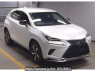 Used 2020 AT lexus nx AGZ10 Image[0]