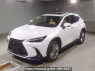Used 2022 AT lexus nx AAZH20 Image[0]