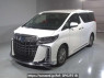 Used 2023 AT toyota alphard-hybrid AYH30W Image[0]