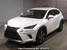 Lexus NX AYZ15