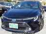 Used 2019 AT toyota corolla-touring-wagon ZWE214W Image[0]