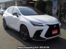 Used 2023 AT lexus nx AAZH20 Image[0]