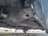 Used 2008 AT honda fit GE6 Image[34]