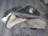Used 2002 AT toyota probox-van NCP50V Image[38]