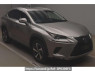 Used 2019 AT lexus nx AYZ10 Image[0]