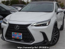 Lexus NX AAZA20