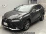 Used 2019 AT lexus nx AGZ10 Image[0]