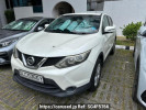Nissan Qashqai others