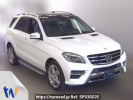 Mercedes Benz M-Class 166024