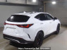 Used 2023 AT lexus nx AAZH25 Image[1]