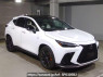 Used 2023 AT lexus nx AAZH25 Image[2]