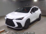 Used 2022 AT lexus nx AAZH20 Image[0]